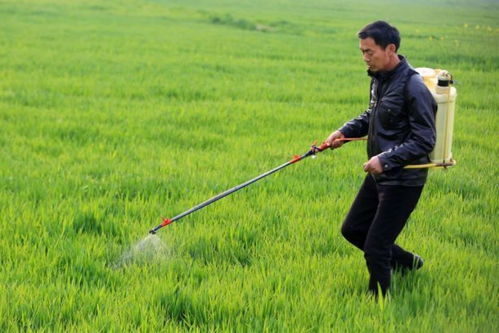 糧食作物病蟲害預(yù)計激增24%，農(nóng)業(yè)面源與重金屬污染防治技術(shù)亟待強化