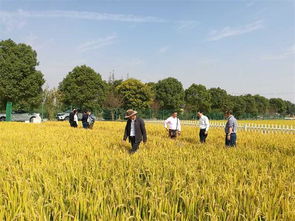 農(nóng)業(yè)養(yǎng)分循環(huán)與面源污染控制學術(shù)研討會在南京召開，助力農(nóng)業(yè)面源與重金屬污染防治技術(shù)服務(wù)