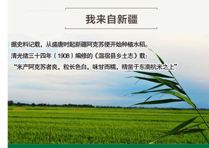 西域良倉 新疆特產越光大米 溫宿金田源一級大米
