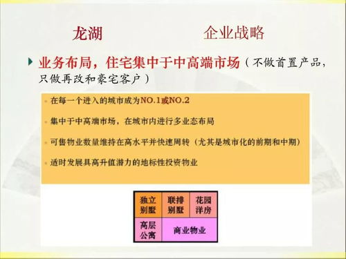2019年龍湖房產(chǎn)項(xiàng)目實(shí)施策劃與公關(guān)服務(wù)方案