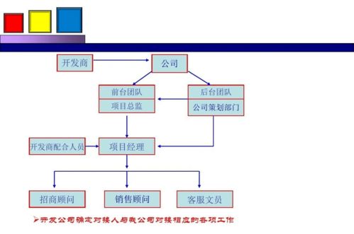 勁花項目營銷策劃方案 項目策劃與公關服務的整合策略